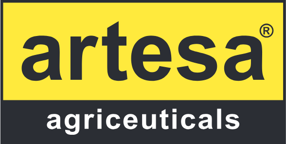 Artesa Limited Antalya